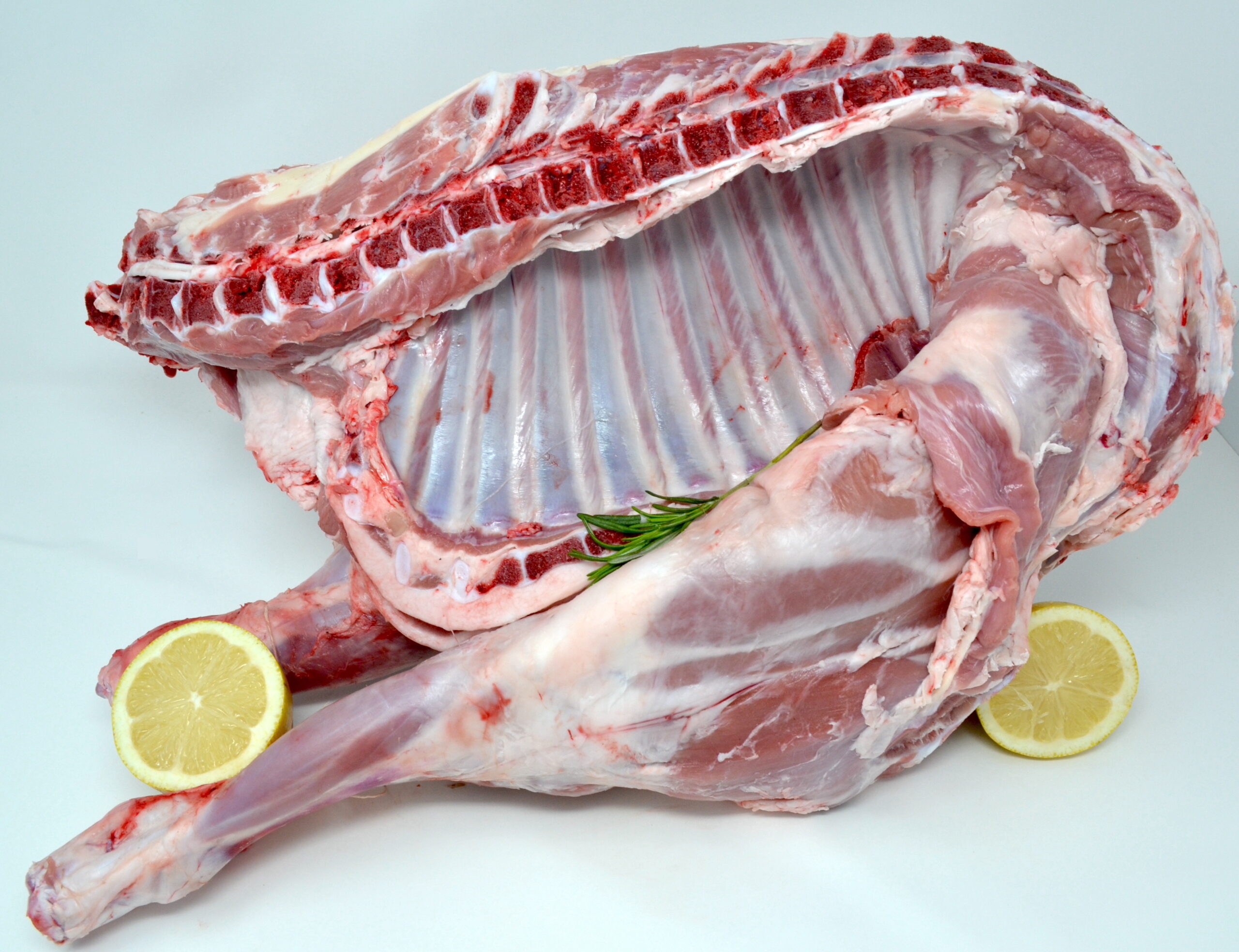 lamb